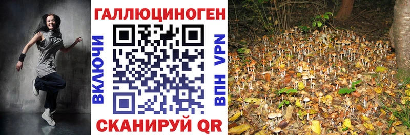 Галлюциногенные грибы ЛСД  Артёмовский 